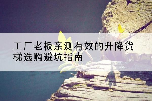 襄城升降货梯怎么选-工厂老板亲测有效的升降货梯选购避坑指南