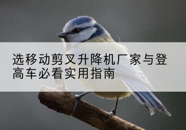 襄城电动升降机厂家-选移动剪叉升降机厂家与登高车必看实用指南